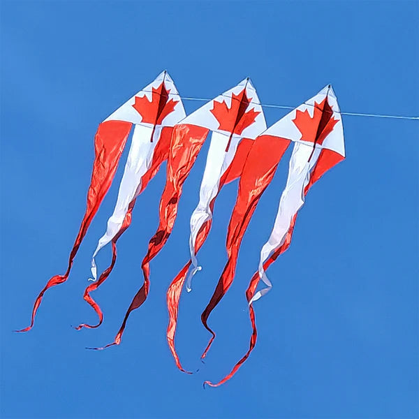 46 in. Flo-Train Delta Kite - Canada Flag (3-Pack Kite Bundle) 33373