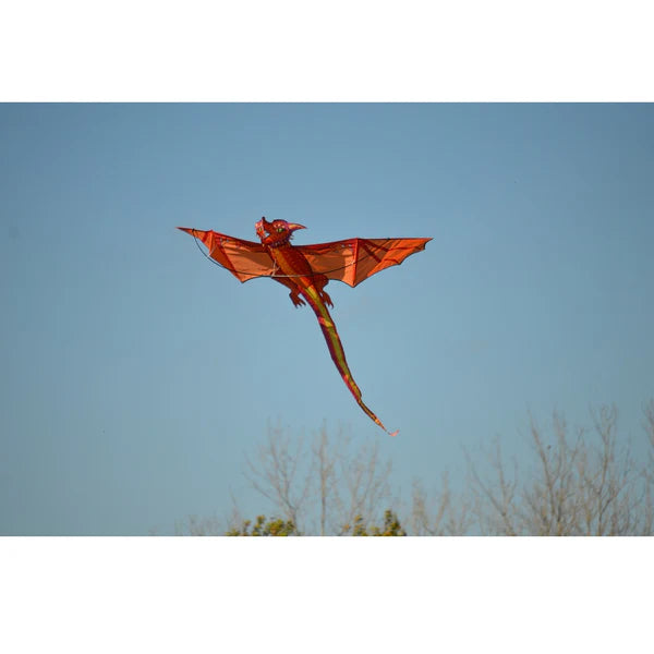 3D Dragon Kite - Emberscale 46211