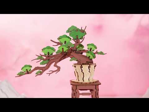 Rolife 3D Wooden Puzzle - Evergreen Pine Bonsai TG510