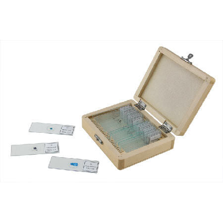 25 PIECE PREPARED MICROSCOPE SLIDE KIT CSN444410