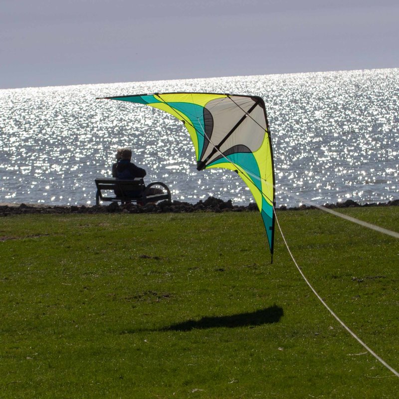 SpiderKites TOMBOY 20026